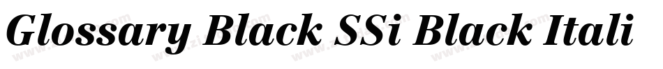 Glossary Black SSi Black Italic字体转换